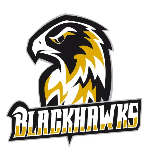 Logo Münster Blackhawks Prospects